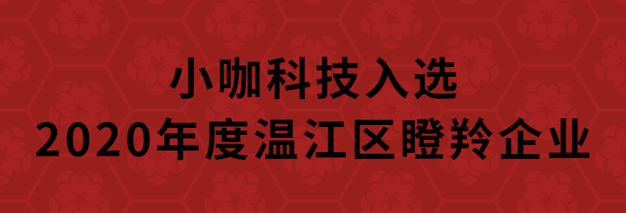 小咖科技入选2020年度温江区瞪羚企业