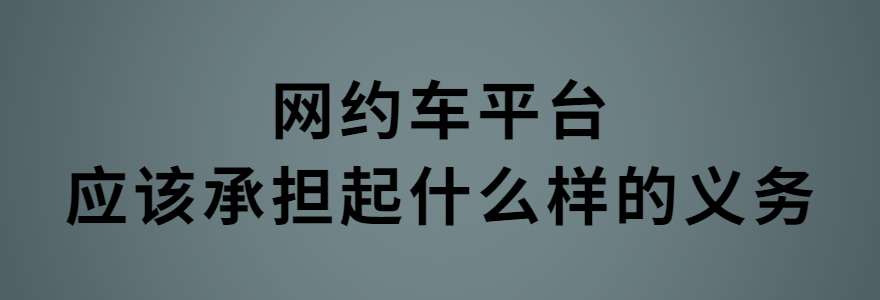 网约车平台应该承担起什么样的义务、怎样承担才能够满足安全保障的需要？